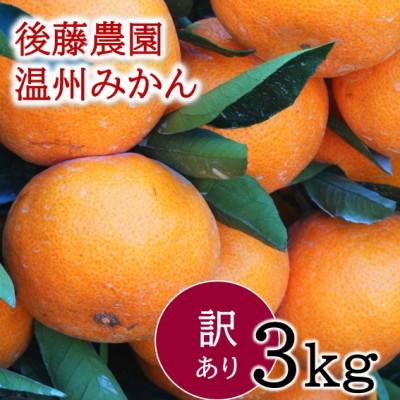 ふるさと納税 玉名市 [訳あり]甘味と酸味の絶妙なバランス 後藤農園の温州みかん 約3kg(玉名市)