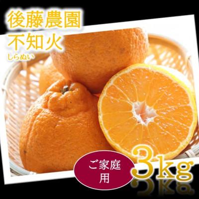 ふるさと納税 玉名市 [ご家庭用]後藤農園の不知火(しらぬい)ジューシー濃厚な甘み 約3kg(玉名市)