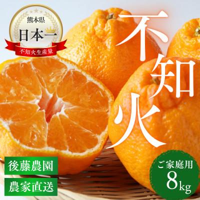 ふるさと納税 玉名市 【ご家庭用】後藤農園の不知火(しらぬい