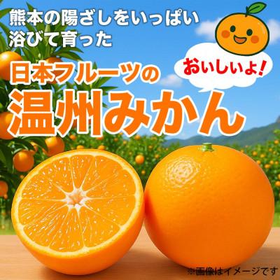 ふるさと納税 宇城市 【先行予約】熊本県 宇城市産 ご家庭用 訳あり みかん 3S〜3L 約5kg(宇城市) |  | 01
