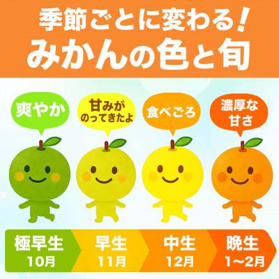 ふるさと納税 宇城市 【先行予約】熊本県 宇城市産 ご家庭用 訳あり みかん 3S〜3L 約5kg(宇城市) |  | 02