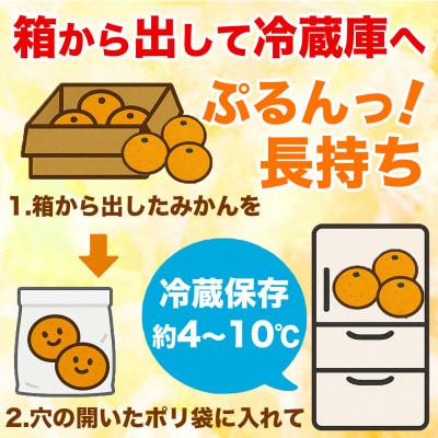 ふるさと納税 宇城市 【先行予約】熊本県 宇城市産 ご家庭用 訳あり みかん 3S〜3L 約5kg(宇城市) |  | 03