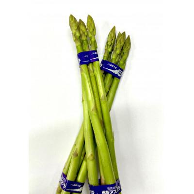 ふるさと納税 大川市 [訳あり]福岡県産アスパラガス 夏芽 緑・紫セット (L-Mサイズ混合 計1kg)(大川市)
