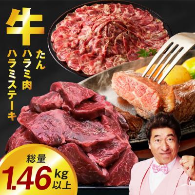 ふるさと納税 泉佐野市 アキラ商店の「人気者!」集めちゃいましたセット 牛タン ハラミ ステーキ 099H4023