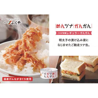 ふるさと納税 静岡市 ふくや めんツナかんかん <レギュラー> ×48缶 ツナ缶