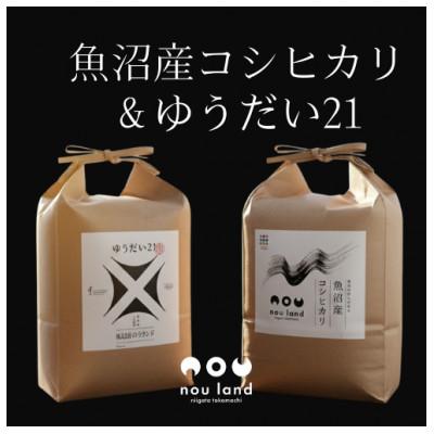 ふるさと納税 十日町市 魚沼産コシヒカリ&amp;ゆうだい21 各5kg×1セット(精米)