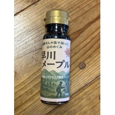 ふるさと納税 早川町 [早川ジビエ]猟師が採ったメープルシロップ 100ml×1本