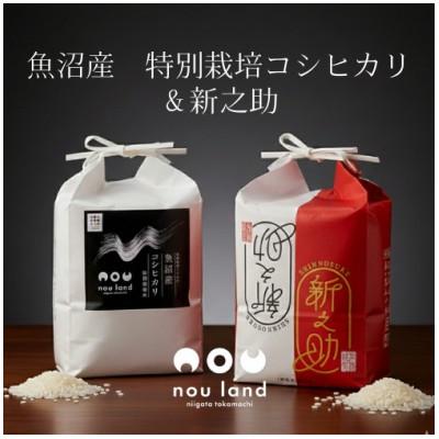 ふるさと納税 十日町市 特栽コシヒカリ&amp;新之助 各5kg×1セット(精米)