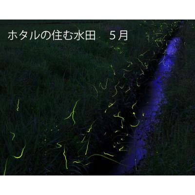 ふるさと納税 水戸市 【令和8年産】特A評価 ホタル米 2kg 精米 厳選コシヒカリ (茨城県共通返礼品/城里町) |  | 02