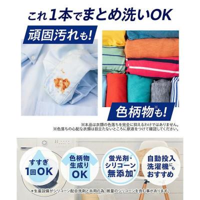 ふるさと納税 堺市 洗濯洗剤 NANOXoneニオイ専用 詰替え用液体洗剤 765g×6 ライオン洗剤 |  | 03