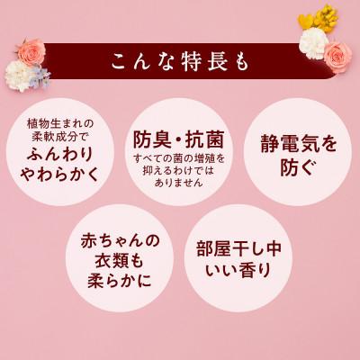 ふるさと納税 堺市 柔軟剤 ソフラン アロマリッチダイアナ 750g×6 詰替え用柔軟剤 |  | 03