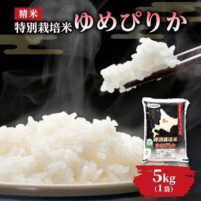 ふるさと納税 旭川市 [令和7年産米]北海道旭川市産 特A ゆめぴりか 新米(精米)5kg_05665