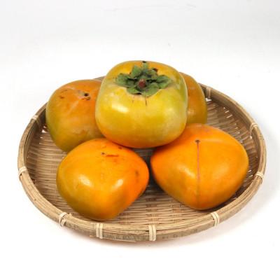 ふるさと納税 かつらぎ町 【訳あり・ご家庭用】たねなし柿約1kg【刀根早生・平核無柿(ひらたねなしかき)】 |  | 01