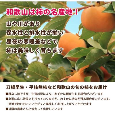 ふるさと納税 かつらぎ町 【訳あり・ご家庭用】たねなし柿約1kg【刀根早生・平核無柿(ひらたねなしかき)】 |  | 03