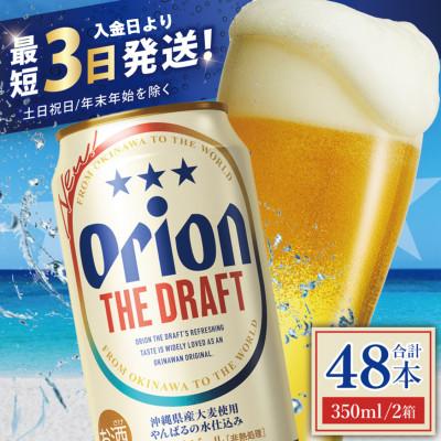 ふるさと納税 豊見城市 オリオン ザ・ドラフト 2ケース(350ml×48缶) | 