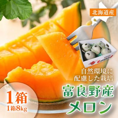 ふるさと納税 富良野市 [2027年発送先行受付]北海道富良野産 メロン8kgサイズいろいろ1箱 糖度15度以上 赤肉メロン