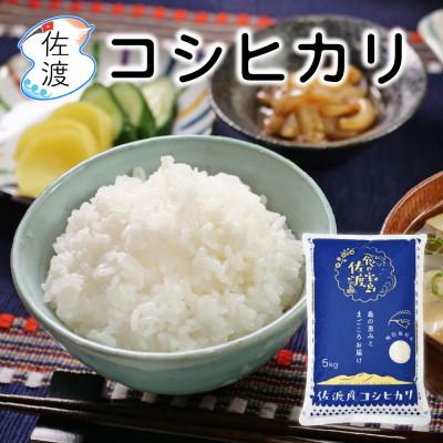 ふるさと納税 佐渡市 佐渡島産コシヒカリ 白米5kg 特別栽培米 令和7年産[食の宝島佐渡]