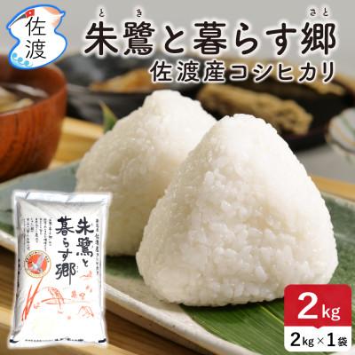 ふるさと納税 佐渡市 佐渡島産コシヒカリ「朱鷺と暮らす郷」無洗米2kg(2kg×1袋) 令和7年産 特別栽培米