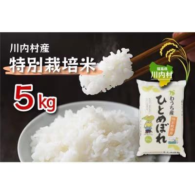 ふるさと納税 川内村 令和7年かわうち産 特別栽培米 ひとめぼれ 5kg