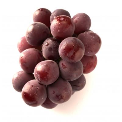 ふるさと納税 観音寺市 [食べきりサイズ]ピオーネ 約600g