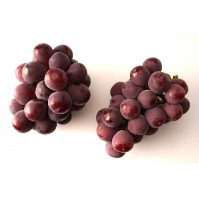 ふるさと納税 三豊市 ピオーネ 約1kg(2〜3房)