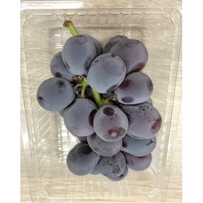 ふるさと納税 高松市 [小分けパック入り]パクパク食べられる・ピオーネパック 約1.2kg以上