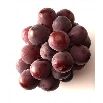 ふるさと納税 三木町 [お試し用]ピオーネ 約400g