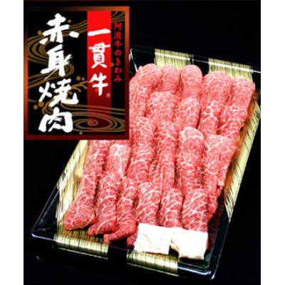 ふるさと納税 阿波市 [赤身焼肉1kg ]阿波牛 黒毛和牛 牛肉焼肉(1kg×1) とくしま三ツ星ビーフ