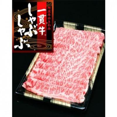 ふるさと納税 阿波市 [極上ロースしゃぶしゃぶ500g ]阿波牛 黒毛和牛(500g×1) とくしま三ツ星ビーフ