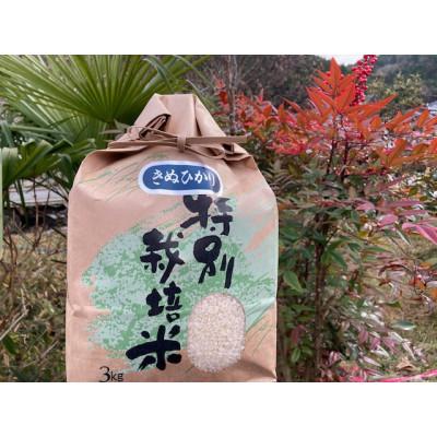 ふるさと納税 亀岡市 いぬかんの キヌヒカリ 3kg