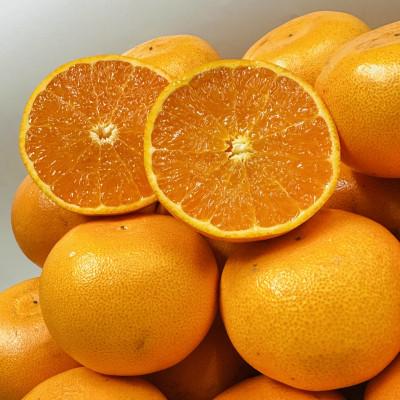 ふるさと納税 小豆島町 [期間限定!]濃厚でとろける果肉「せとか」(より濃厚な小玉サイズ) 約5kg