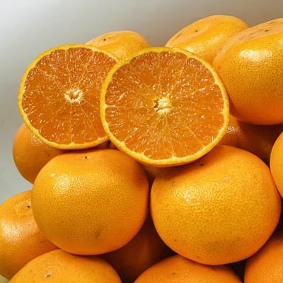 ふるさと納税 小豆島町 [期間限定!]濃厚でとろける果肉「せとか」(ご家庭用) 約5kg