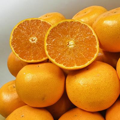 ふるさと納税 小豆島町 [期間限定!]濃厚でとろける果肉「せとか」 約5kg