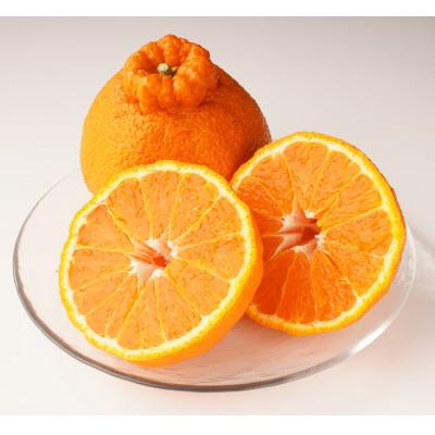 ふるさと納税 小豆島町 [期間限定!]甘みと酸味の共演・濃厚「デコポン」 約3kg