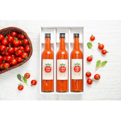 ふるさと納税 弥富市 [生産者こだわり]完熟ミニトマトジュース 500ml×3本 濃厚リコピンストレートギフトセット