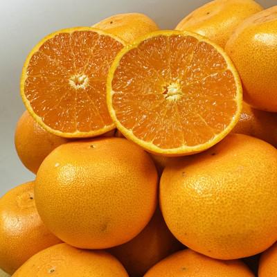 ふるさと納税 土庄町 [期間限定!]濃厚でとろける果肉「せとか」(ご家庭用) 約5kg
