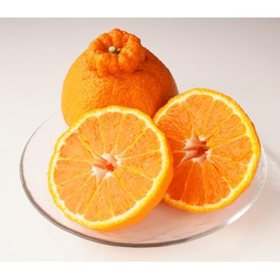 ふるさと納税 土庄町 [期間限定!]甘みと酸味の共演・濃厚「デコポン」(ご家庭用) 約5kg