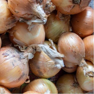 ふるさと納税 三豊市 訳ありそのまんま玉ねぎ 約3kg