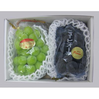 ふるさと納税 三豊市 [満足セット]人気の2品種 シャインマスカット+ピオーネ食べ比べセット 約2kg(各1〜3房)