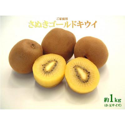 ふるさと納税 三木町 ご家庭用さぬきゴールドキウイ 約1kg