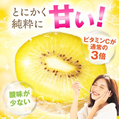 ふるさと納税 三木町 ご家庭用さぬきゴールドキウイ　約1kg |  | 01
