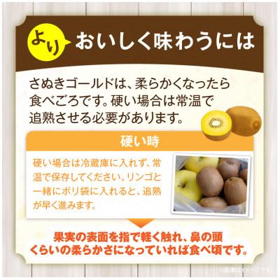 ふるさと納税 三木町 ご家庭用さぬきゴールドキウイ　約1kg |  | 02