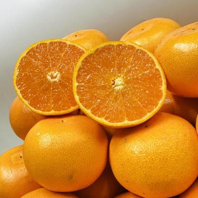 ふるさと納税 坂出市 [期間限定!]濃厚な味わいでとろける果肉「せとか」(小玉サイズ L〜3S) 約5kg