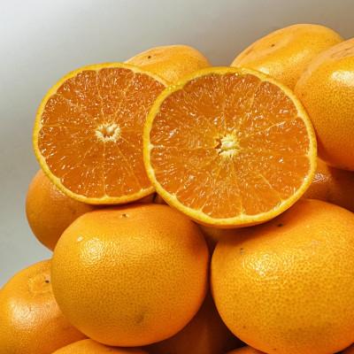 ふるさと納税 坂出市 [期間限定!]濃厚でとろける果肉「せとか」(ご家庭用) 約5kg