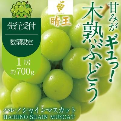 ふるさと納税 鏡野町 先行予約 木熟ぶどう ハレノシャイン シャインマスカット晴王 1房 約700g 9月〜11月発送