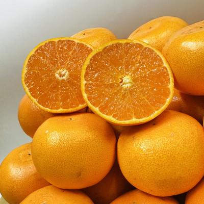 ふるさと納税 高松市 [期間限定!]濃厚でとろける果肉「せとか」 約3kg