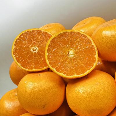 ふるさと納税 高松市 [期間限定!]濃厚でとろける果肉「せとか」(より濃厚な小玉サイズ) 約5kg