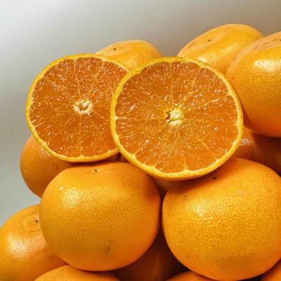 ふるさと納税 高松市 [期間限定!]濃厚でとろける果肉「せとか」(ご家庭用) 約5kg