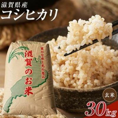 ふるさと納税 甲賀市 [令和7年産]近江米コシヒカリ玄米30kg