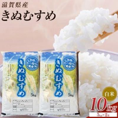 ふるさと納税 甲賀市 【令和8年産】近江米きぬむすめ白米10kg(5kg×2袋